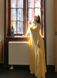 Elegant Sheath Evening Dresses, Spaghetti Strap Chiffon Yellow Guest Dress HZ1121